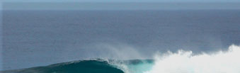 surf at Canggu beach