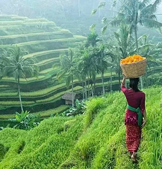 Villas Ubud