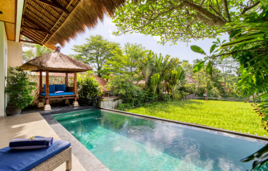 Ricefield and swimming pool vistas with gazebo and day beds