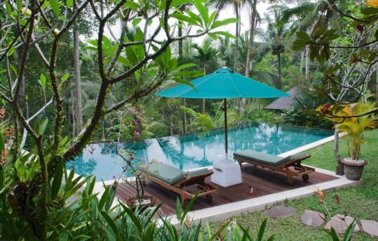 Jungle views from swimming pool of villa