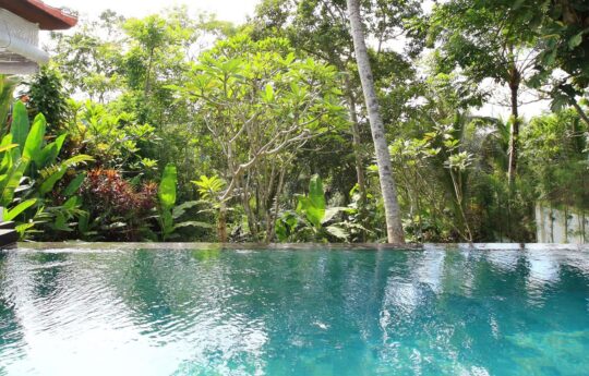 Villa shamballa moon ubud holiday rental