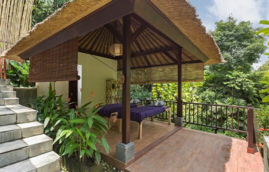 Villa Atap Padi Ubud holiday rental in bali