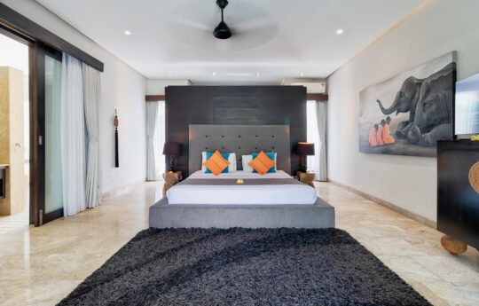 Large king size bed with rug in bedroom