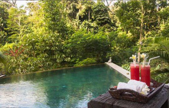 Villa Umah Shanti pool view with tropical backdrop of trees