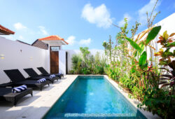 Swimming pool and day beds of Villa Madiba 2 on sunny day